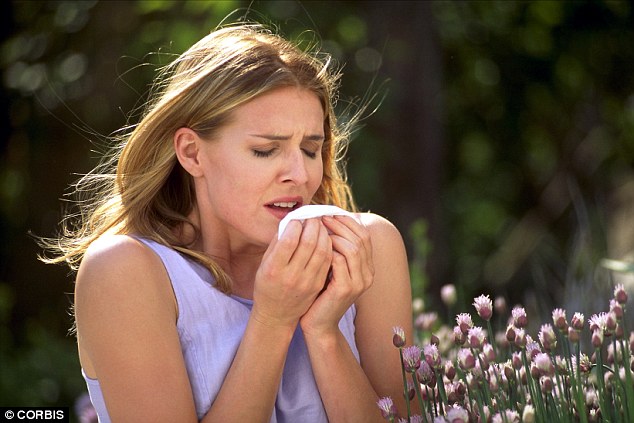 Hít phấn hoa làm tăng nguy cơ đau tim lên cao bất ngờ - 1