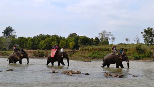 Cưới chồng, xây mộ cho voi - 3