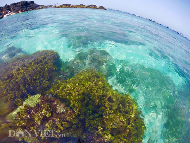 Lặn biển ngắm san hô dưới làn nước trong xanh là một trải nghiệm thú vị không thể bỏ lỡ.
