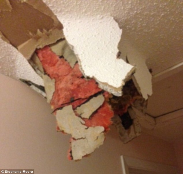 Canada: Phân từ máy bay rơi thủng mái nhà dân - 1