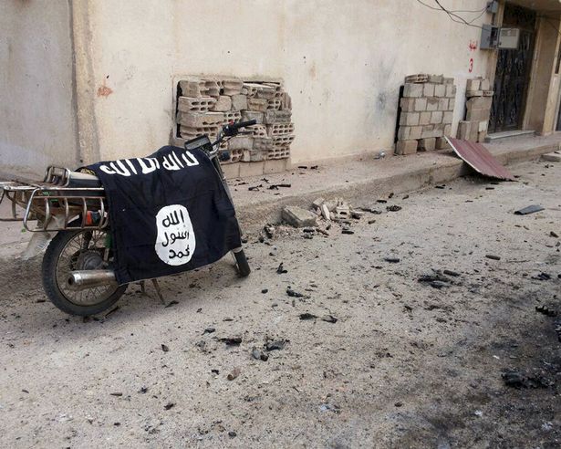 Hình ảnh "Cô dâu sa mạc" bị tàn phá dưới tay IS - 5