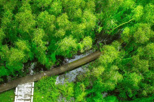 Việt Nam đẹp tuyệt vời trong các MV của sao Việt trẻ - 6