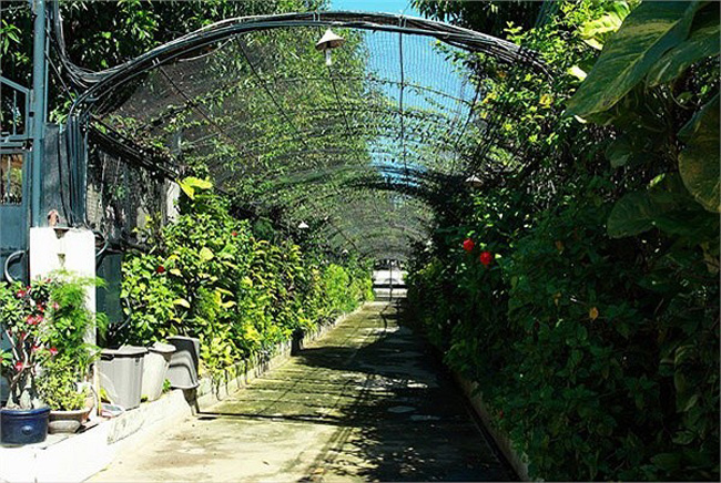 Lối đi vào căn biệt thự của Diễm My khiến khách mời ngỡ như bước vào không gian của một nhà vườn ở phương Tây.