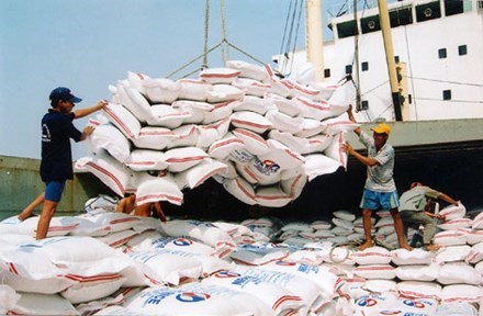 Bộ Công Thương mở cửa cho doanh nghiệp xuất khẩu gạo - 1