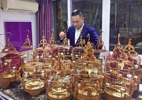 Giải mã gia tài chim, lồng bạc tỉ của "ông vua chim màu VN" - 1