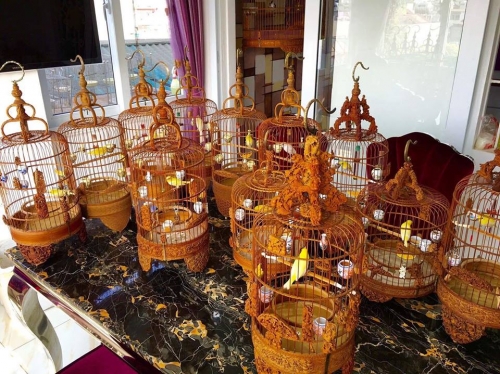 Giải mã gia tài chim, lồng bạc tỉ của "ông vua chim màu VN" - 2