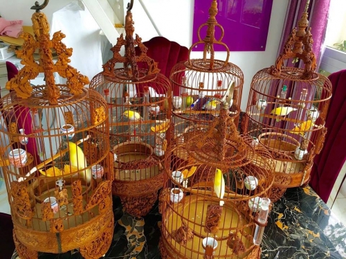 Giải mã gia tài chim, lồng bạc tỉ của "ông vua chim màu VN" - 5