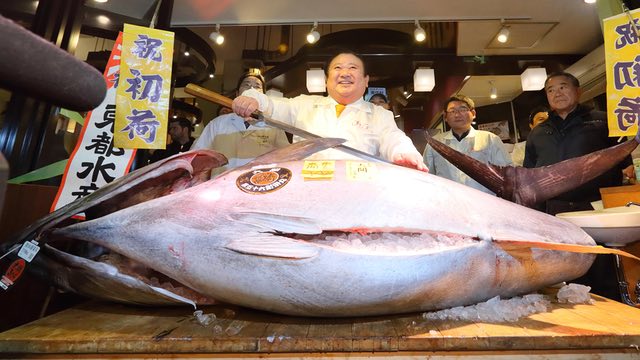 Cá ngừ hơn 2 tạ được bán với giá gần 15 tỷ đồng ở Nhật - 1