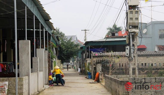 Nghệ An: Đặc sản bánh chưng Vĩnh Hòa hối hả vào vụ Tết - 2