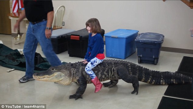 Bé gái 7 tuổi cưỡi cá sấu khổng lồ gây sốt mạng - 1
