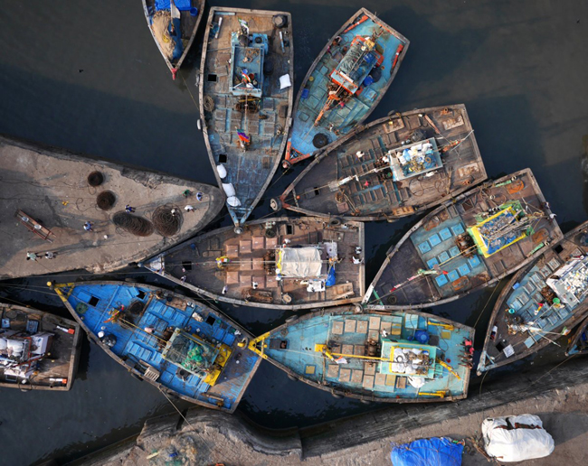 Tàu đánh cá ở Sassoon Dock, Mumbai, Ấn Độ. 