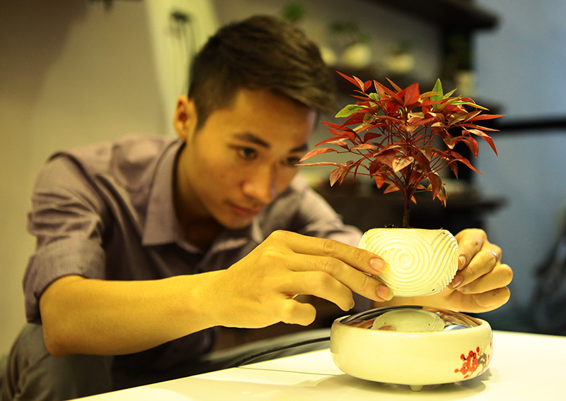 Săn bonsai bay, xoay tròn trên không trung chơi Tết - 2