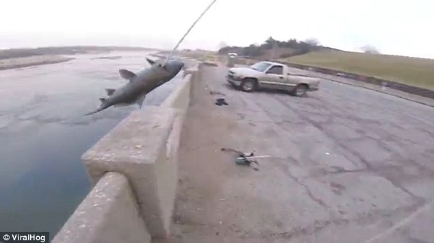 Không tưởng: Bắn cung tên cách xa 15m để bắt cá hồi - 2