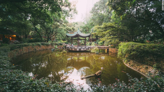 Nằm gần khu cảng Tsim Sha Tsui, công viên Kowloon từng là căn cứ quân sự Whitfield của quân đội Anh quốc. Nó được cải tạo thành công viên vào những năm 1970.