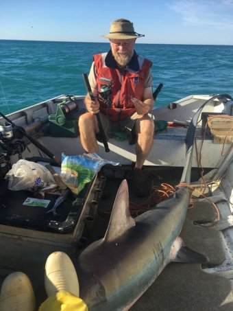 Úc: Cá mập nhảy lên thuyền khiến ngư dân hốt hoảng - 1