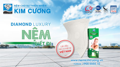 “Nệm biết đi” đã có mặt tại Việt Nam - 1