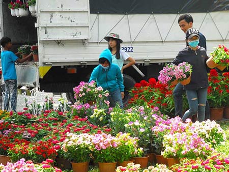 Chấp nhận xa nhà ngày Tết để có thu nhập cao - 2