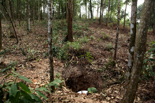 Gặp lại cặp vợ chồng già ăn “bánh đất”, “bánh ngói” ở Vĩnh Phúc - 5