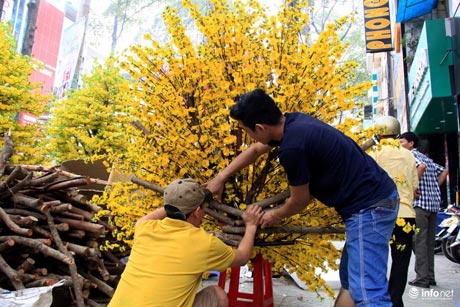 Hoa vải cao cấp giá hơn chục triệu &#34;cháy hàng&#34; ở TP.HCM - 8