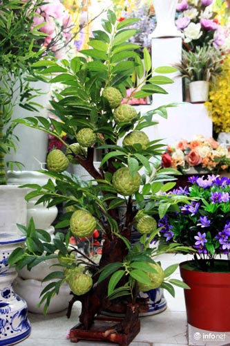 Hoa vải cao cấp giá hơn chục triệu &#34;cháy hàng&#34; ở TP.HCM - 15
