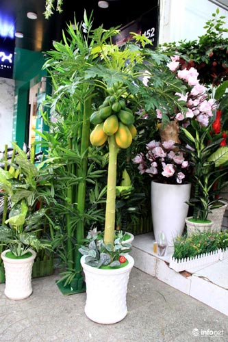 Hoa vải cao cấp giá hơn chục triệu &#34;cháy hàng&#34; ở TP.HCM - 16