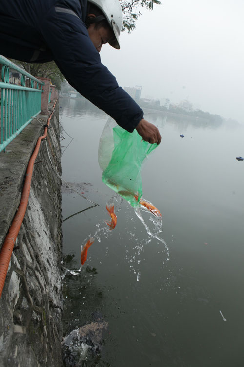 Người Hà Nội tiễn ông Táo về trời sớm trong giá rét, sương mù - 8