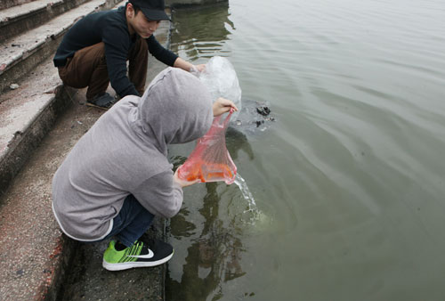 Người Hà Nội tiễn ông Táo về trời sớm trong giá rét, sương mù - 11