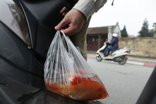 Người Hà Nội tiễn ông Táo về trời sớm trong giá rét, sương mù - 3