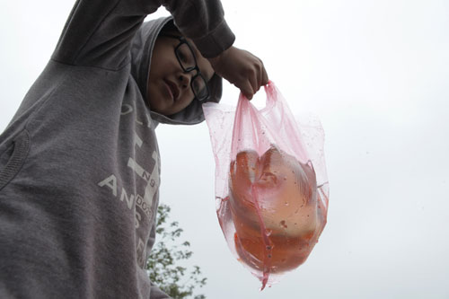 Người Hà Nội tiễn ông Táo về trời sớm trong giá rét, sương mù - 4