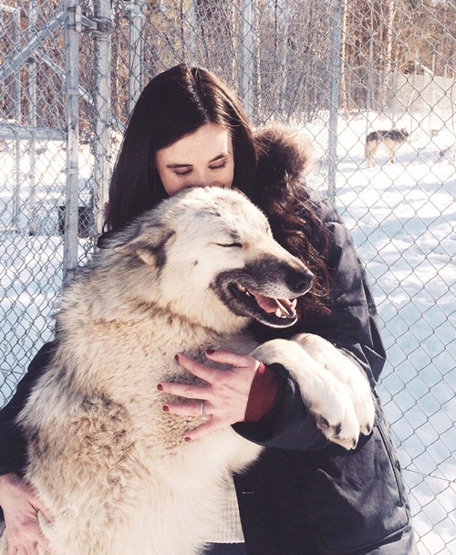 Cô gái được chó sói cứu thoát khỏi bệnh trầm cảm sau khi bị cưỡng hiếp - 1