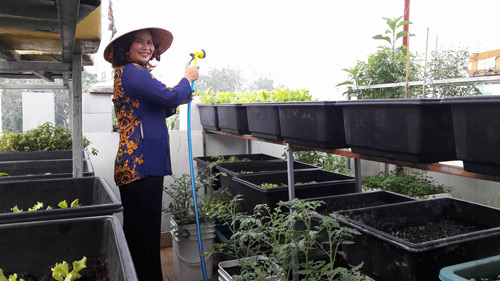 Vườn rau sạch đón Tết của bà mẹ Sài thành khiến chị em thèm thuồng - 2