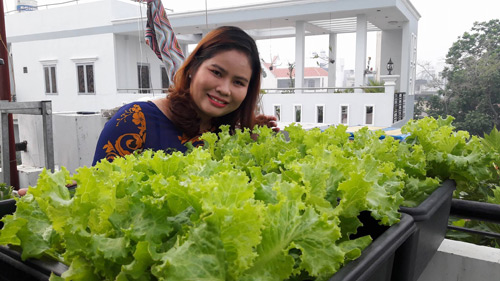 Vườn rau sạch đón Tết của bà mẹ Sài thành khiến chị em thèm thuồng - 5