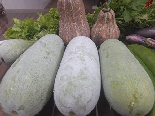 Vườn rau sạch đón Tết của bà mẹ Sài thành khiến chị em thèm thuồng - 7