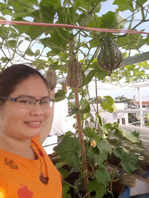 Vườn rau sạch đón Tết của bà mẹ Sài thành khiến chị em thèm thuồng - 8