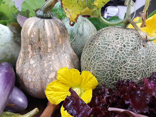 Vườn rau sạch đón Tết của bà mẹ Sài thành khiến chị em thèm thuồng - 9