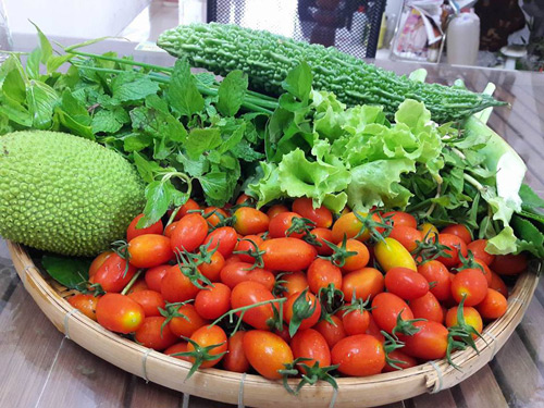 Vườn rau sạch đón Tết của bà mẹ Sài thành khiến chị em thèm thuồng - 4