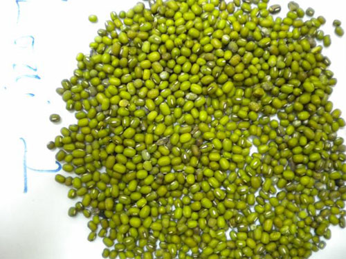 Tuyệt chiêu để có chiếc bánh chưng ngon thắp hương ngày Tết - 3