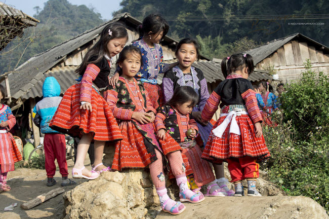 Dân tộc Mông cũng đón năm mới theo lịch âm giống như phần lớn người dân ở Việt Nam. Các hoạt động đón năm mới thường diễn ra tại trung tâm của từng bản làng. 