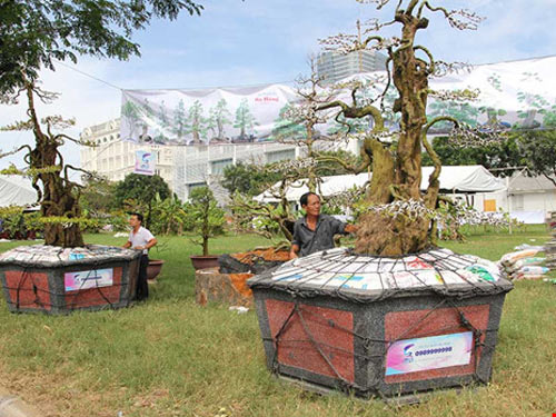 Hoa đẹp, kiểng lạ ba miền hội tụ về Sài Gòn - 2