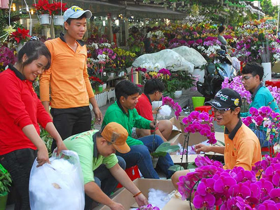 Hoa đẹp, kiểng lạ ba miền hội tụ về Sài Gòn - 1