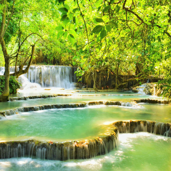 Thác Kuang Si là một trong những địa điểm bạn không thể bỏ qua khi khám phá đất nước Lào. Những thác nước nhiều tầng trông đẹp như một bức tranh khiến bất cứ du khách nào cũng mê đắm.