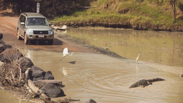 Úc: Đi qua cầu tràn, bị cá sấu lôi xuống sông cắn chết - 1