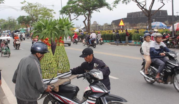 Bưởi phật thủ bạc triệu tại chợ hoa Xuân Quảng Trị - 10