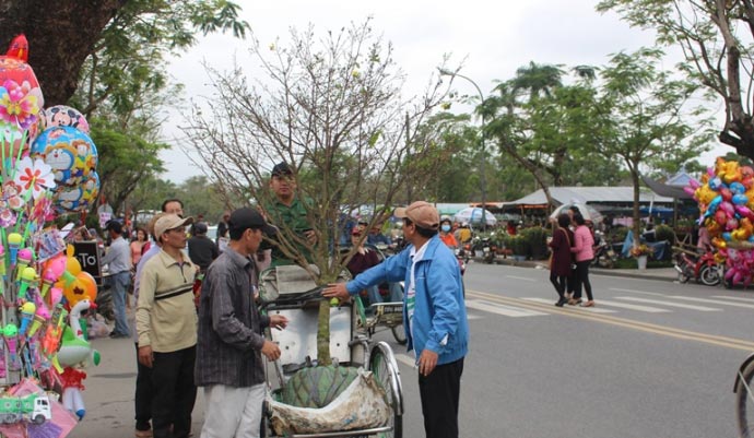 Bưởi phật thủ bạc triệu tại chợ hoa Xuân Quảng Trị - 11