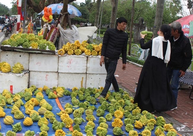 Bưởi phật thủ bạc triệu tại chợ hoa Xuân Quảng Trị - 5