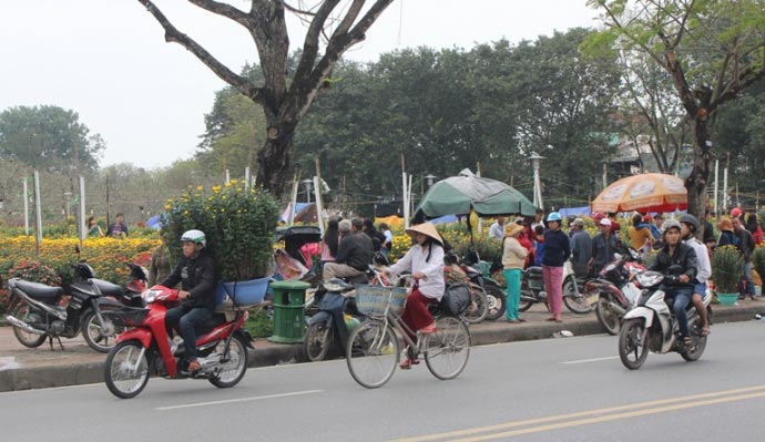 Bưởi phật thủ bạc triệu tại chợ hoa Xuân Quảng Trị - 9