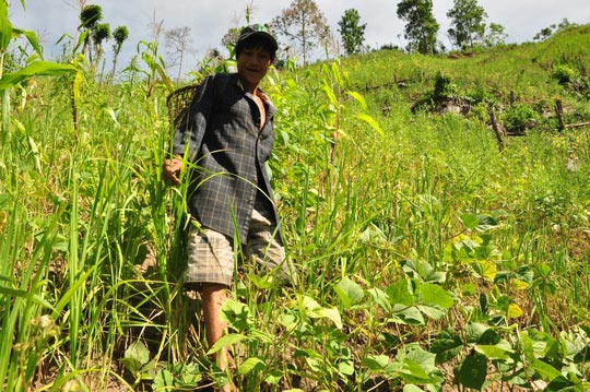 Tết ấm cúng của cha con "người rừng" - 4