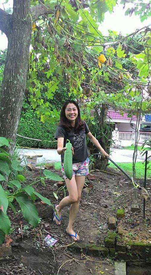 Mê mẩn vườn rau đón Tết 150m2 ở Malaysia của mẹ Việt - 1