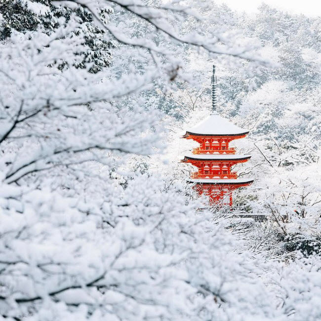 Kyoto đã trải qua những ngày lạnh nhất trong mùa đông năm nay, khi nhiệt độ giảm xuống dưới 0 độ C.