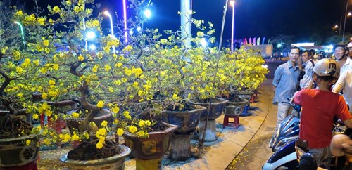 Dưa hấu khắc chữ thư pháp bán ngập đường phố Cà Mau - 2